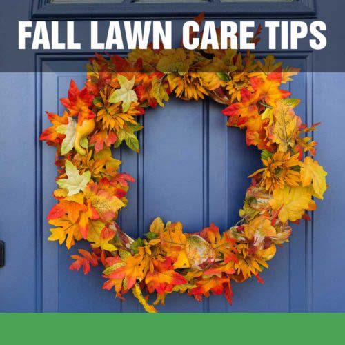 Fall Lawn Care Tips