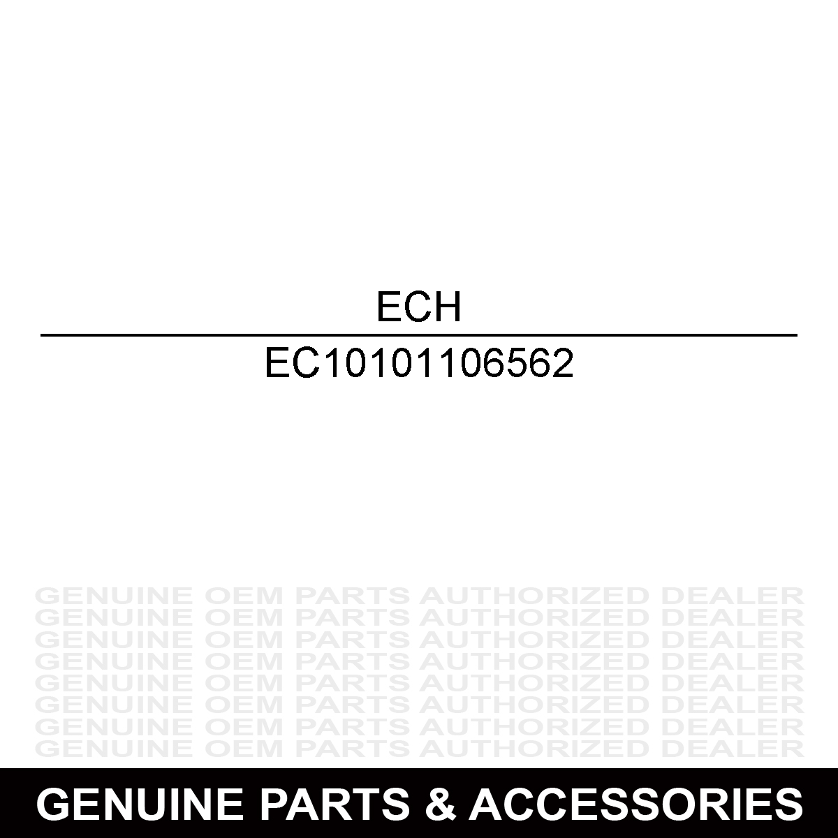 Echo 10101106562 Cylinder