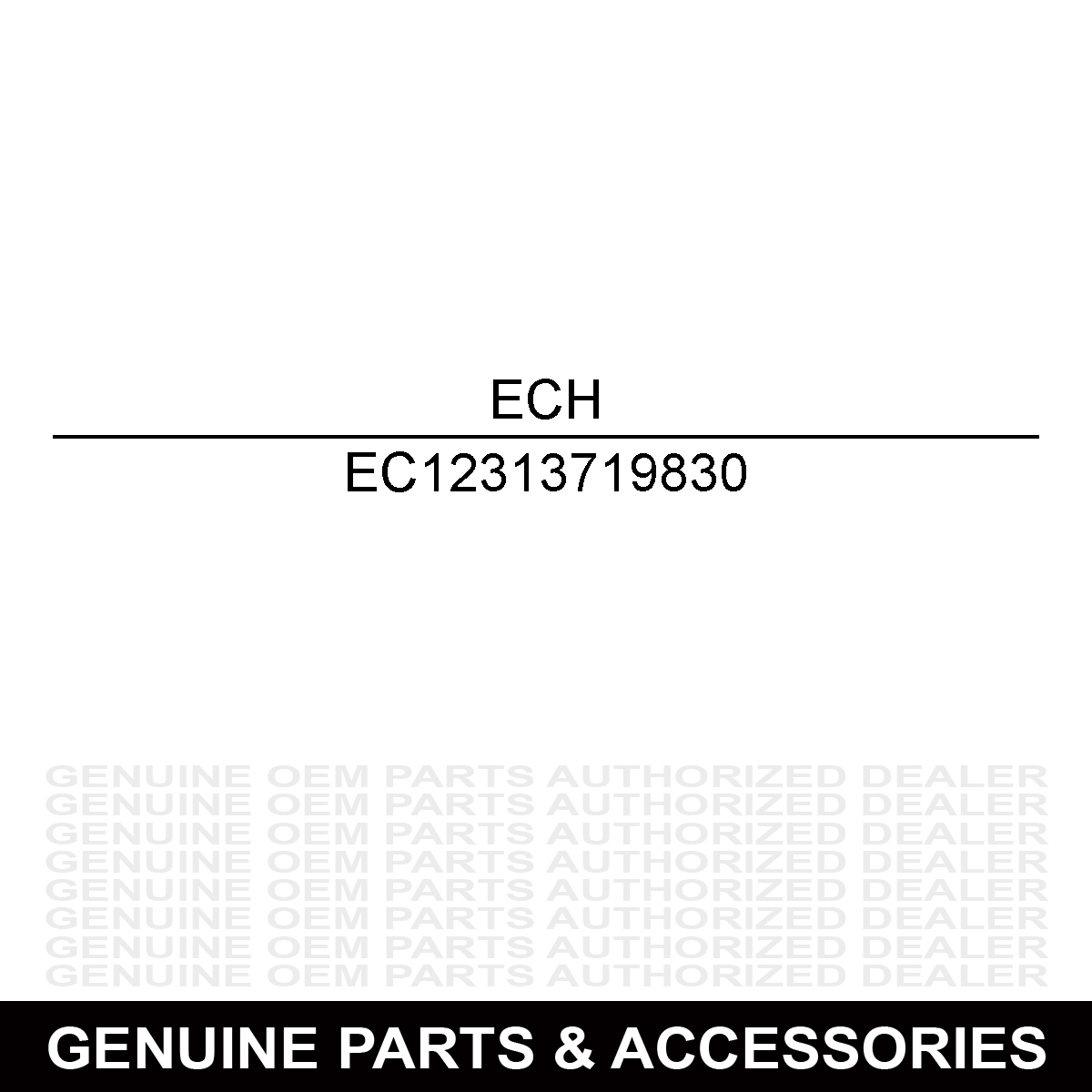 Echo 12313719830 Valve