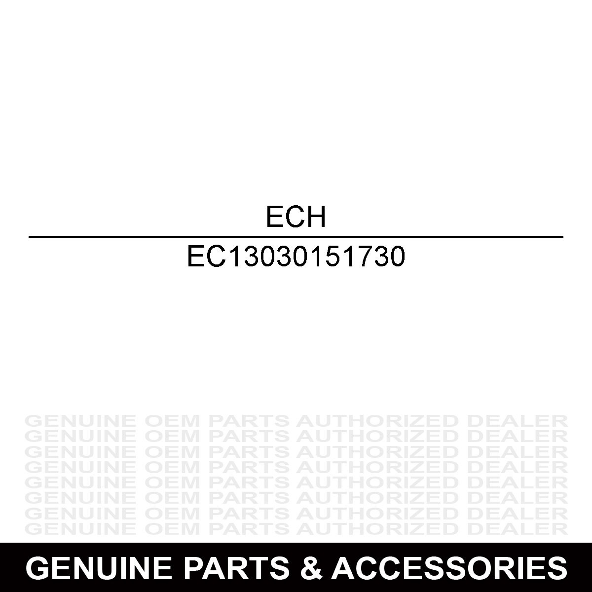 Echo 13030151730 Case