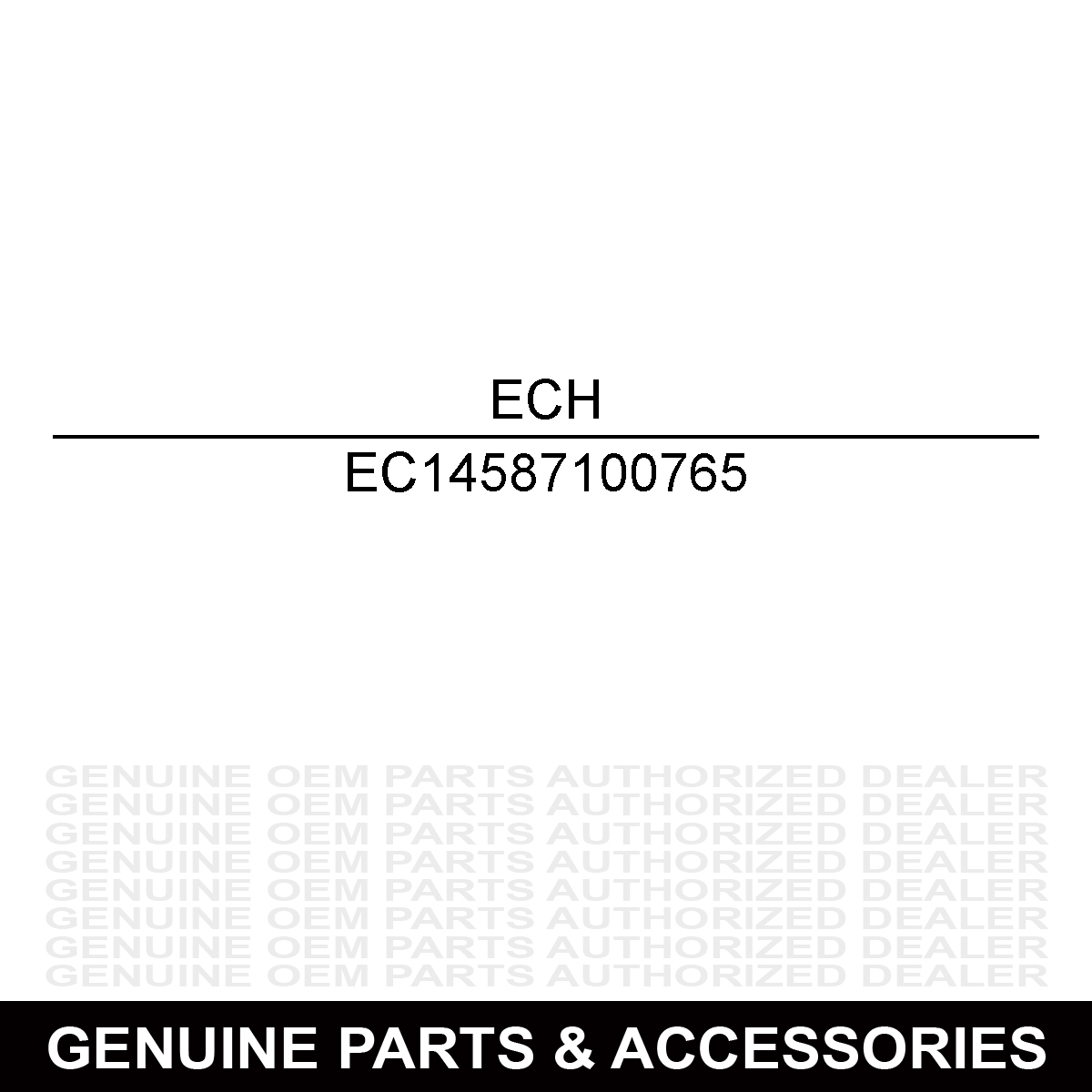 Echo 14587100765 Cover