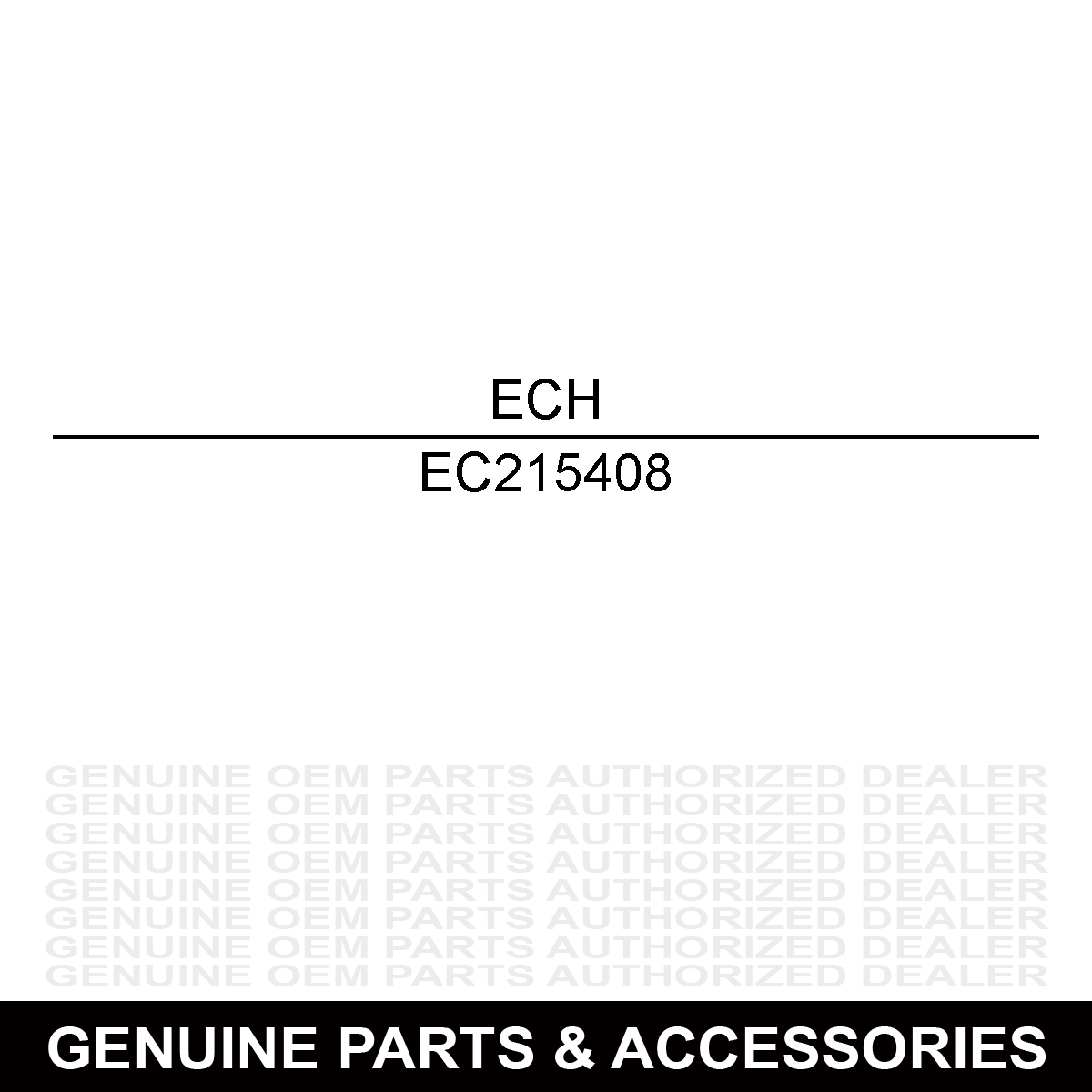 Echo 215408 Cover
