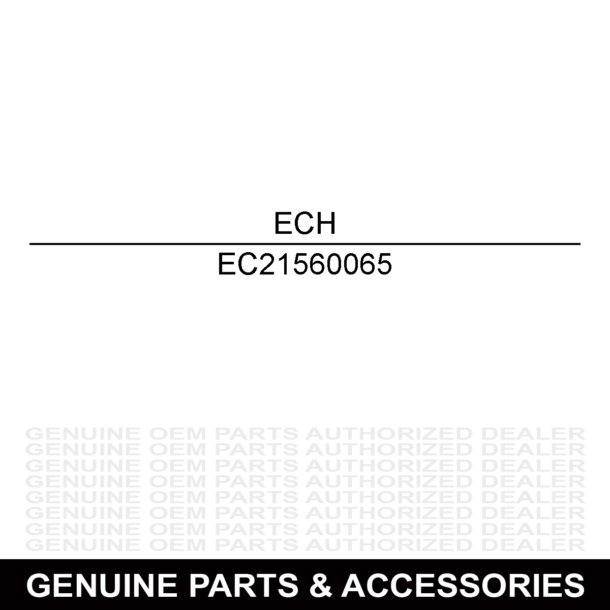 Echo 21560065 Manual