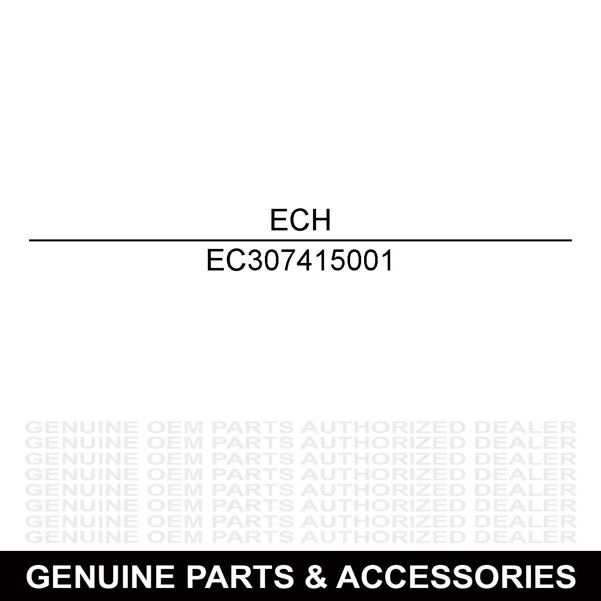 Echo 307415001 Motor