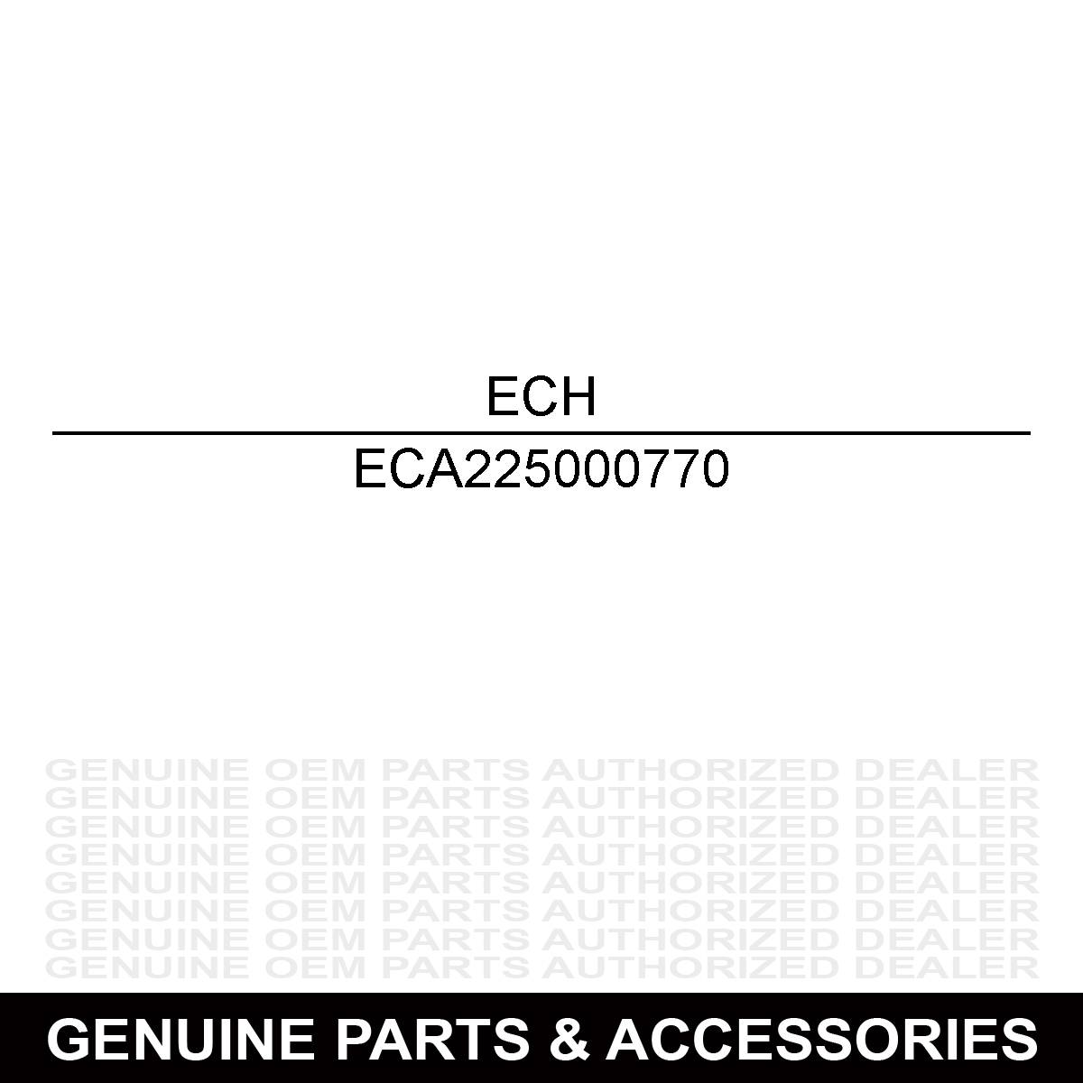 Echo A225000770 Case