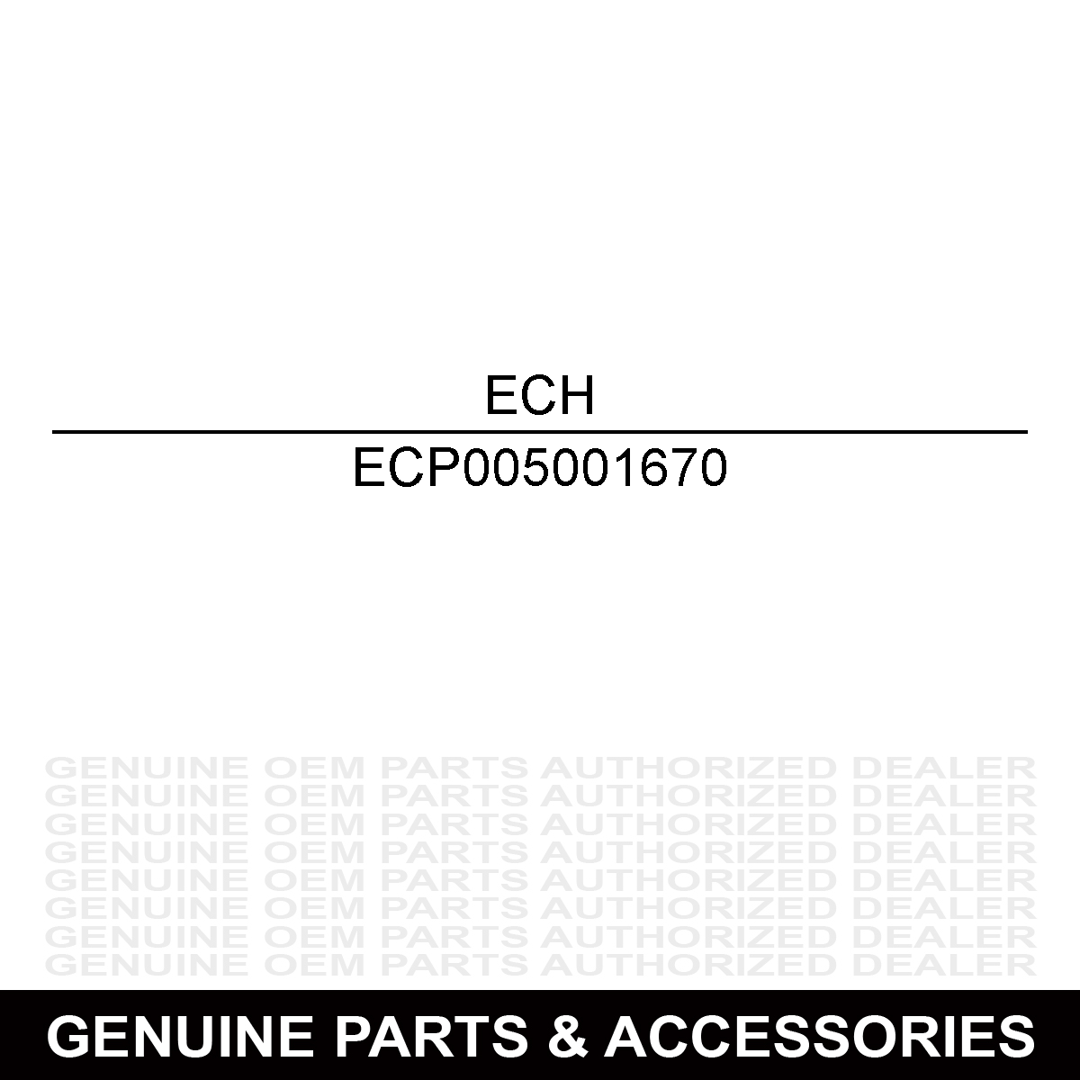 Echo P005001670 Repair Kit