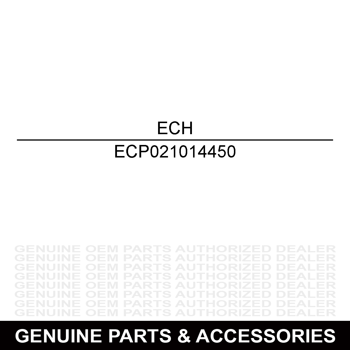 Echo P021014450 Case