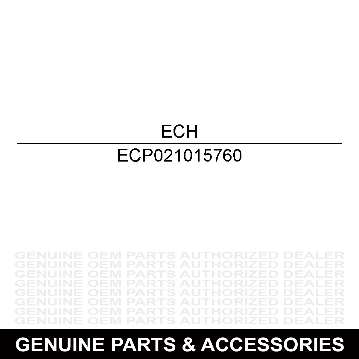 Echo P021015760 Case