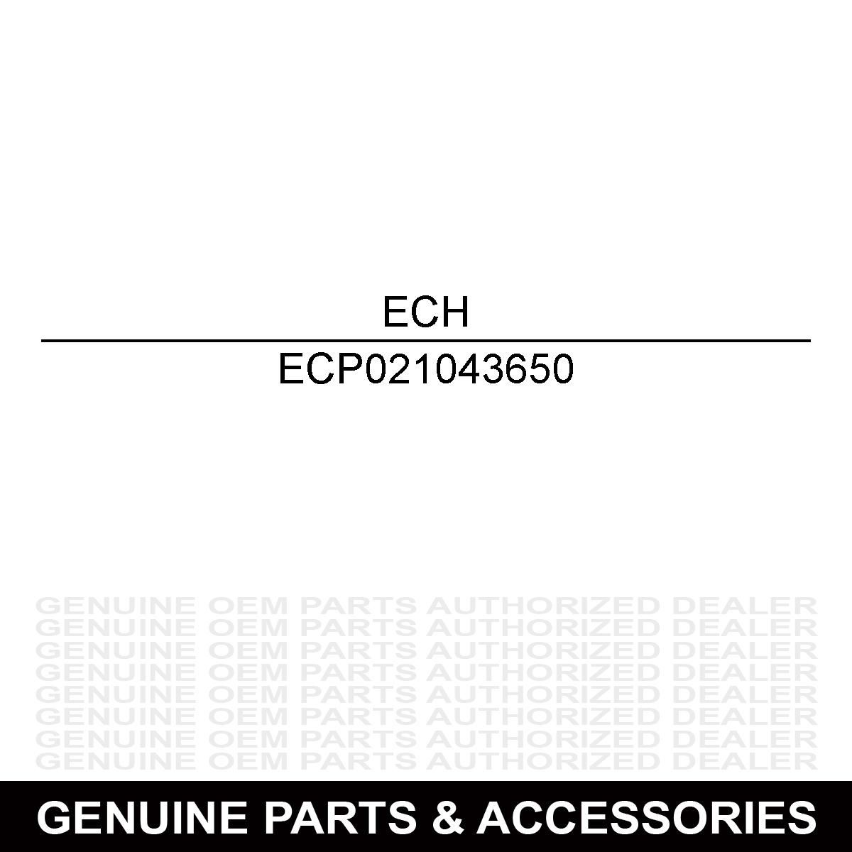 Echo P021043650 Case