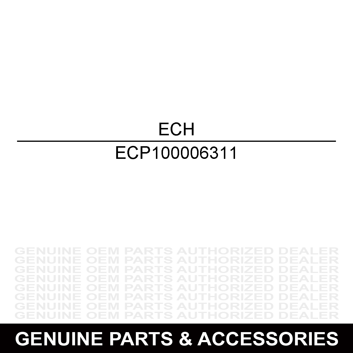 Echo P100006311 Crankcase