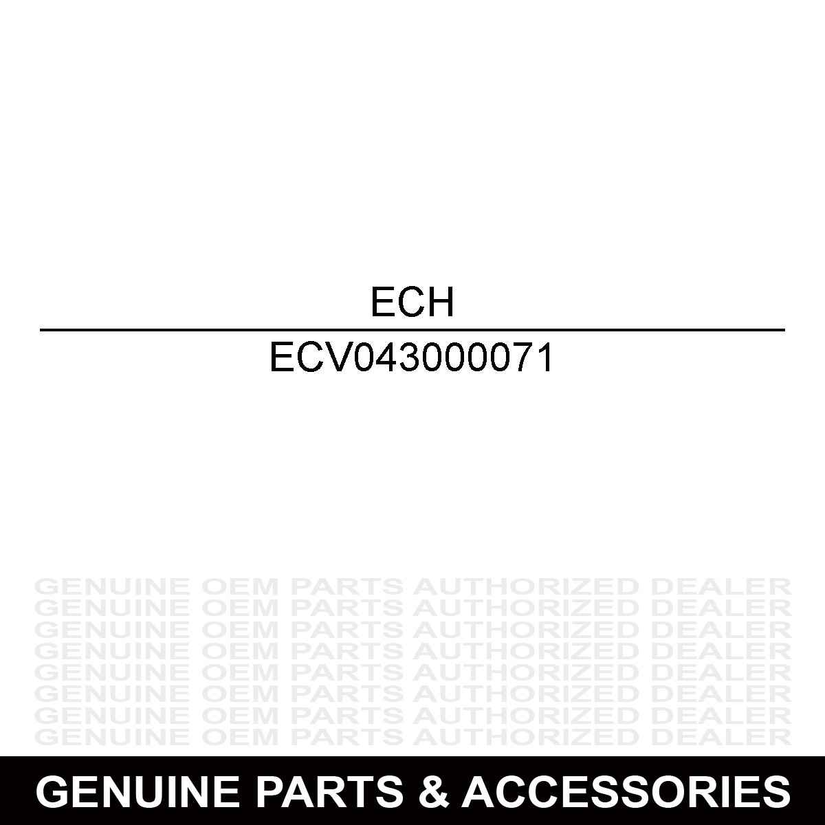 Echo V043000071 Cable