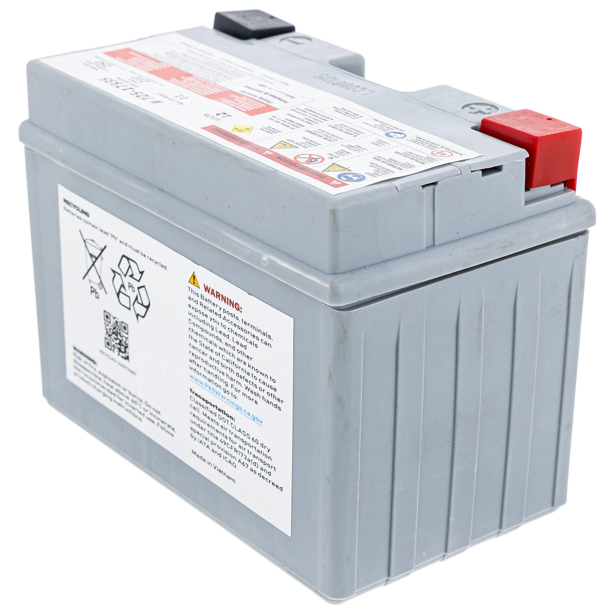 CUB CADET 490-280-F017 12-Volt AGM Battery 210 CCA