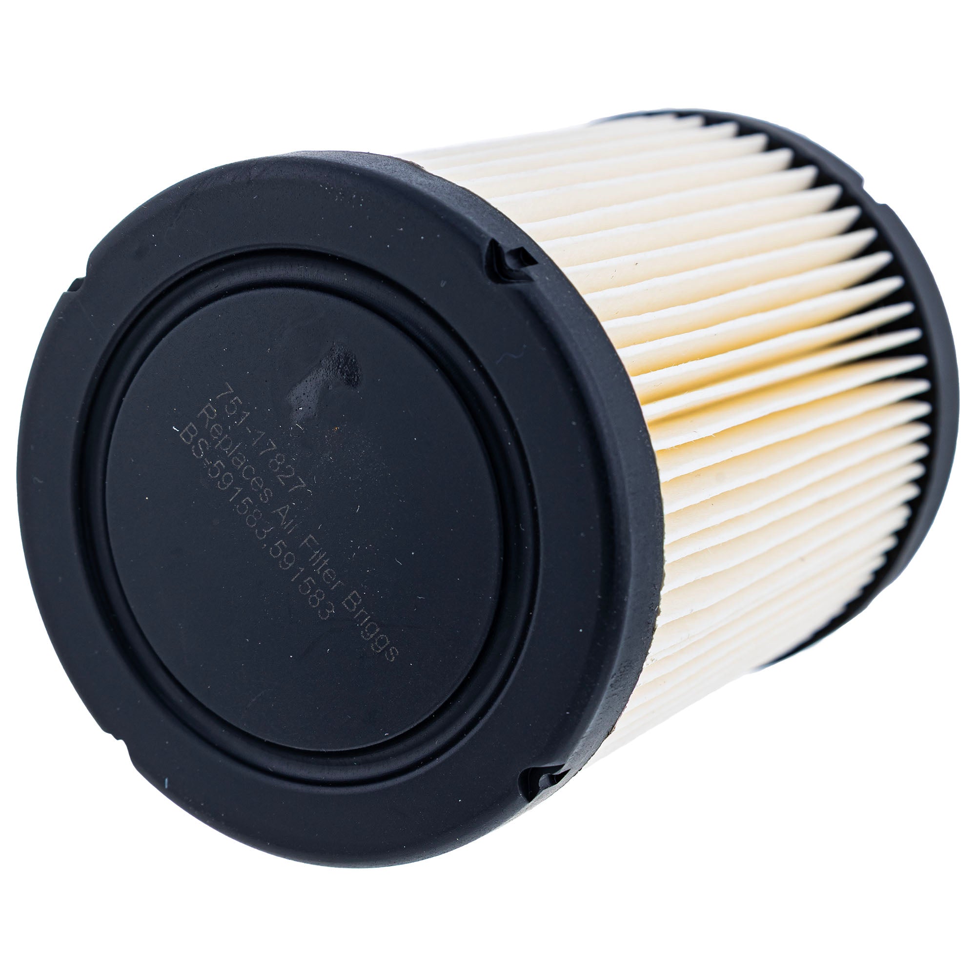 CUB CADET 490-950-C060 Air / Fuel Filter Kit