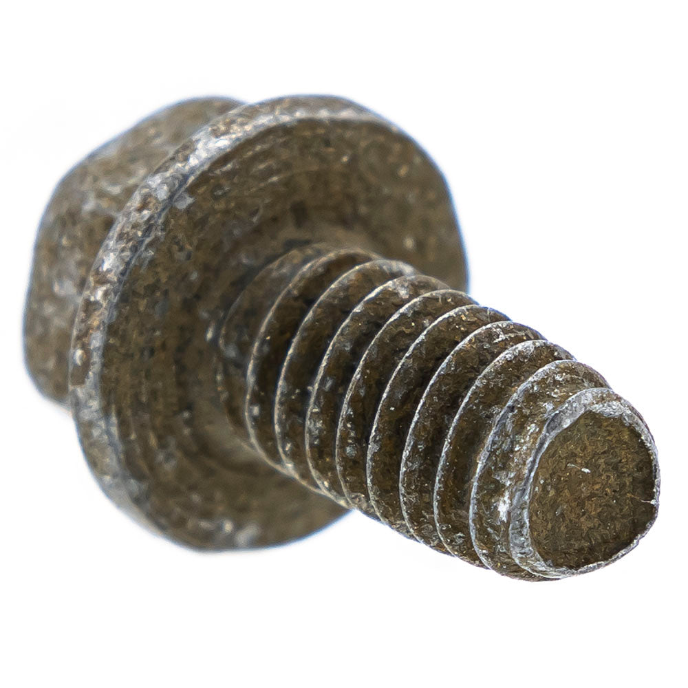 MTD 710-0599 Hex Head Screw