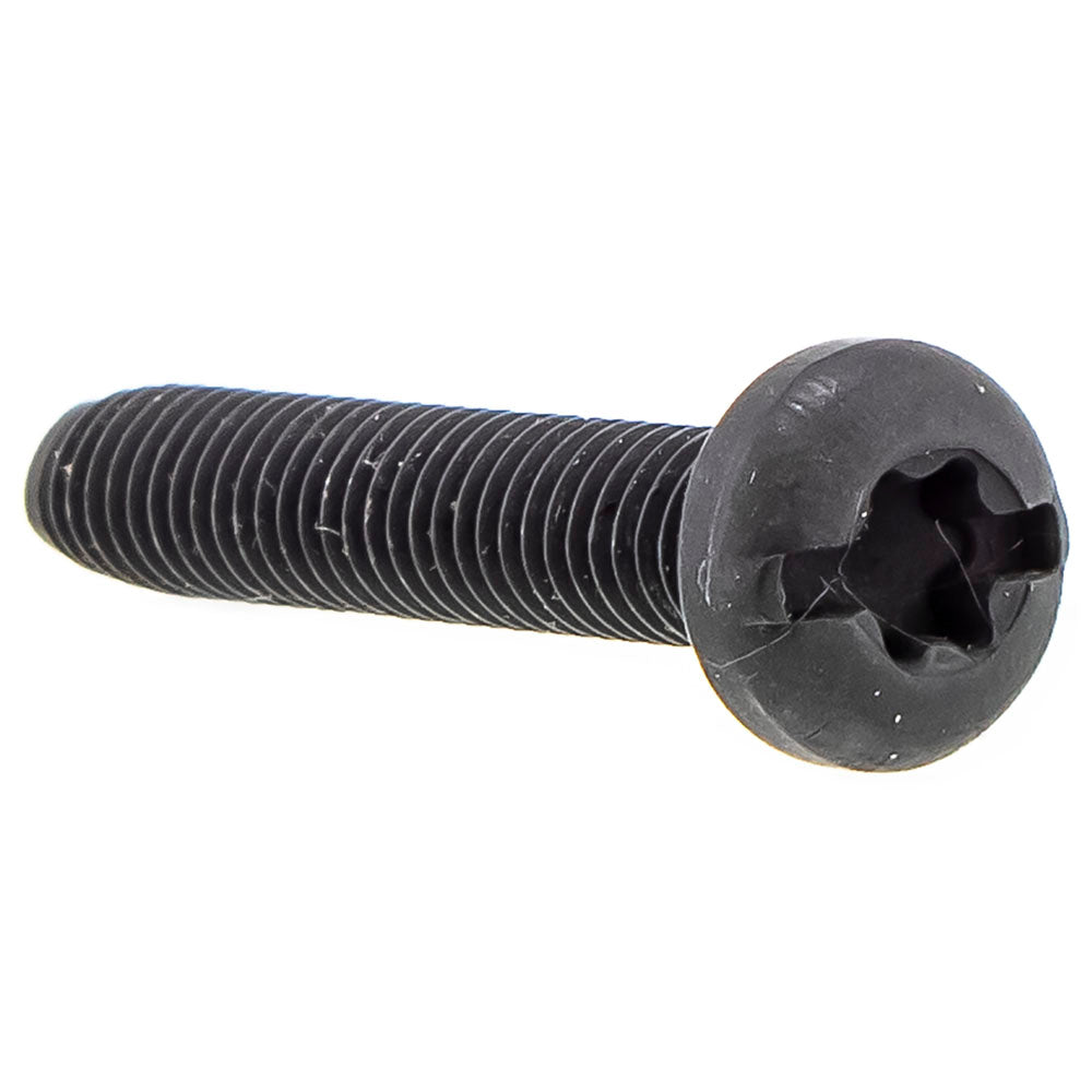 CUB CADET 710-06106 Engine Screw