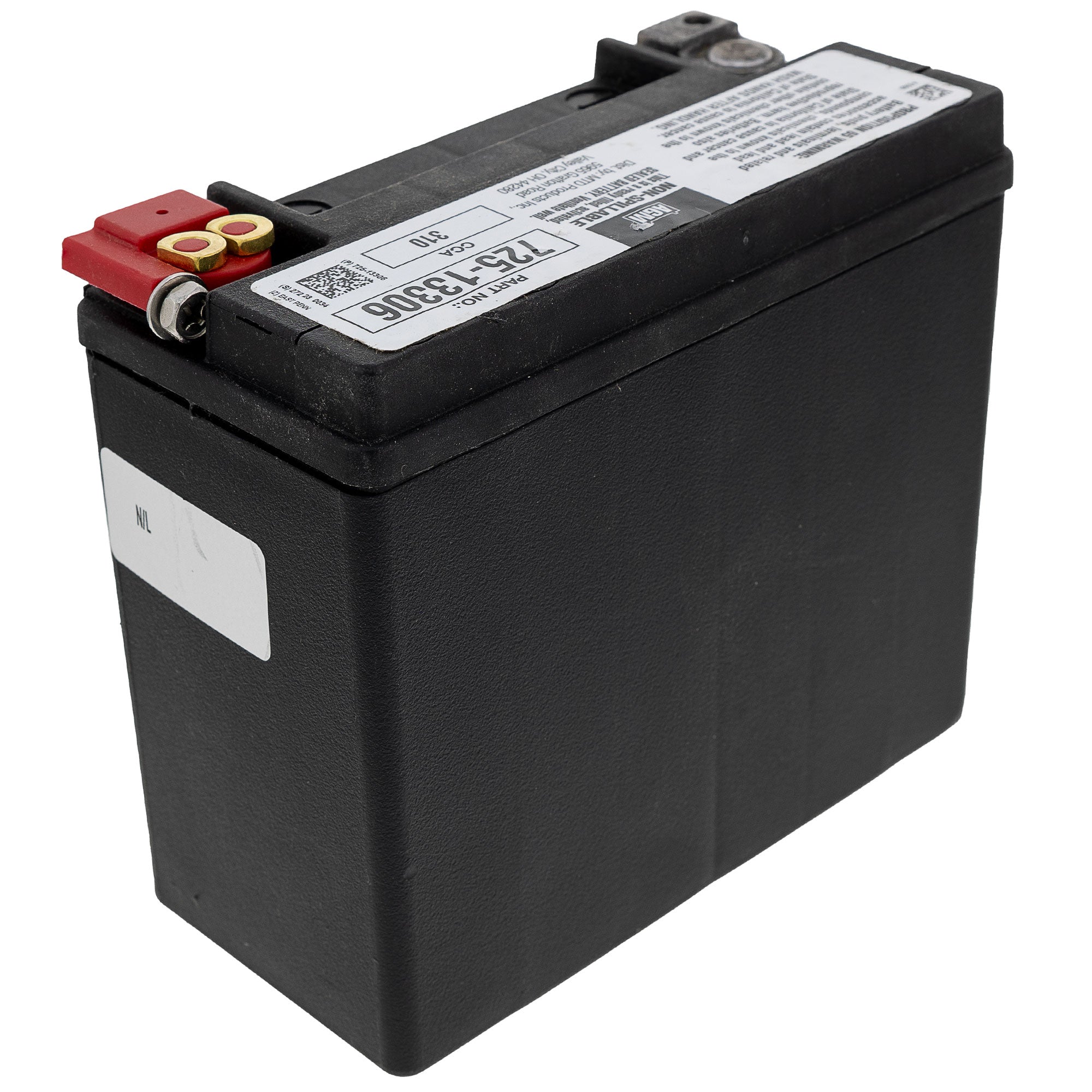 CUB CADET 725P13306 BATTERY-300 CCA