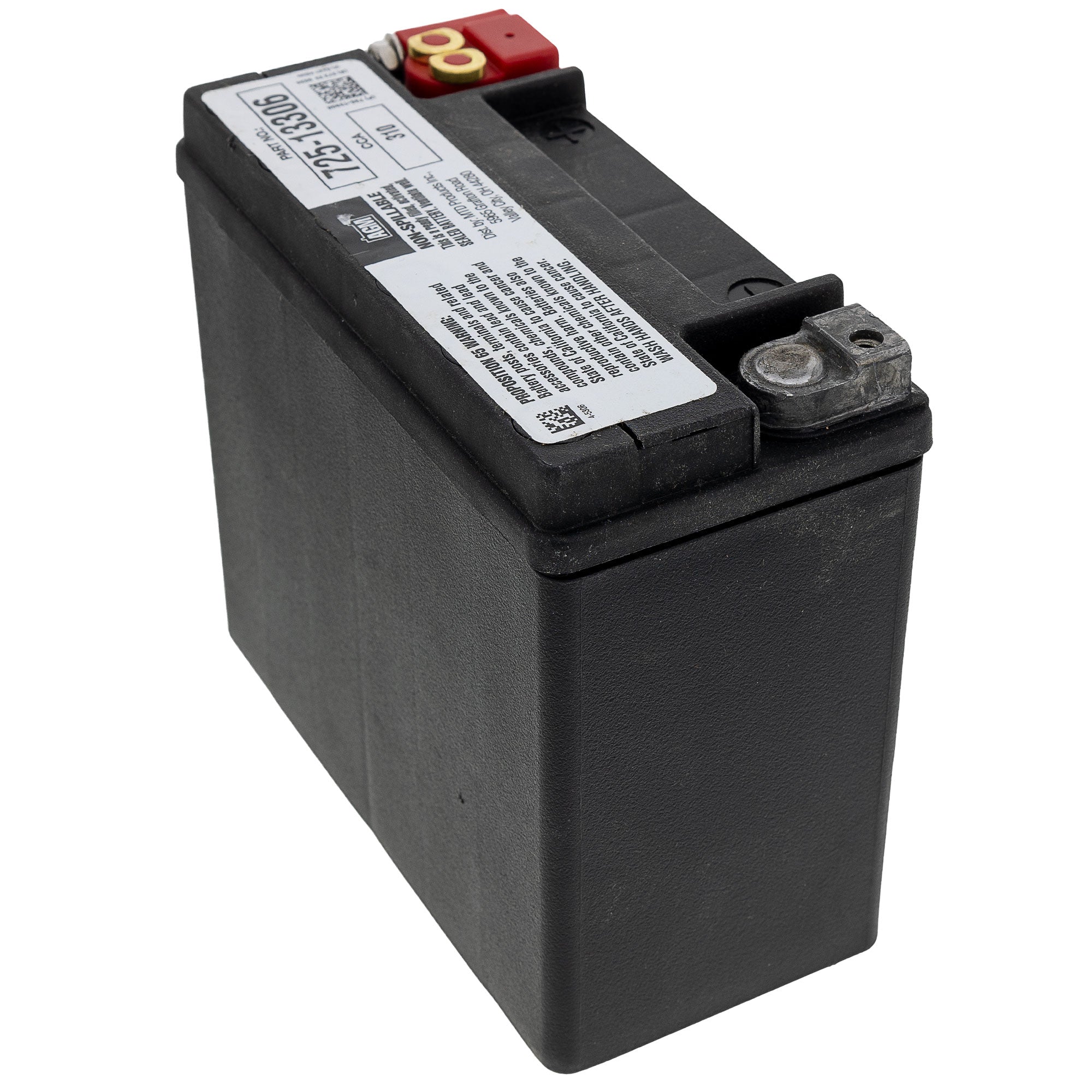 CUB CADET 725P13306 BATTERY-300 CCA