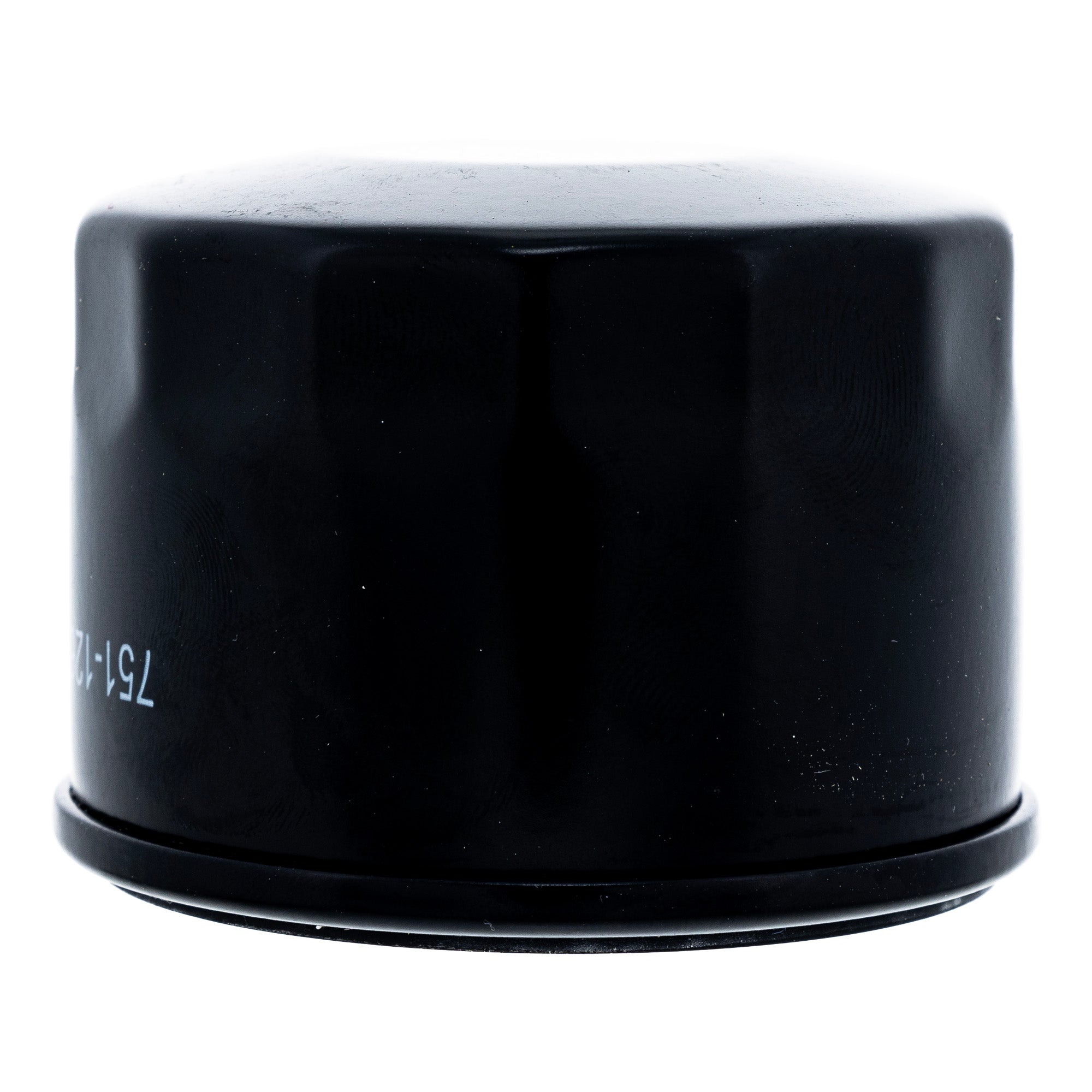 CUB CADET 759-05028 Fuel Filter Kit