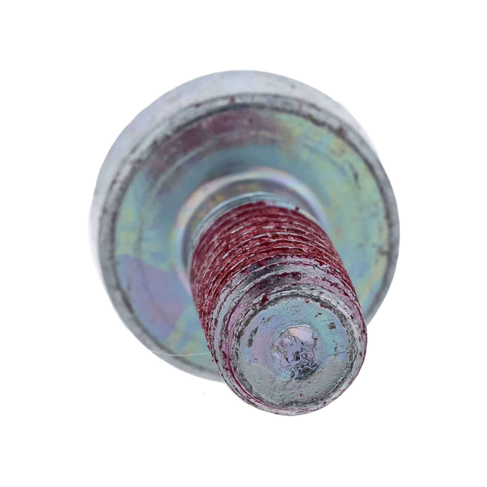 Echo V835000010 Bolt