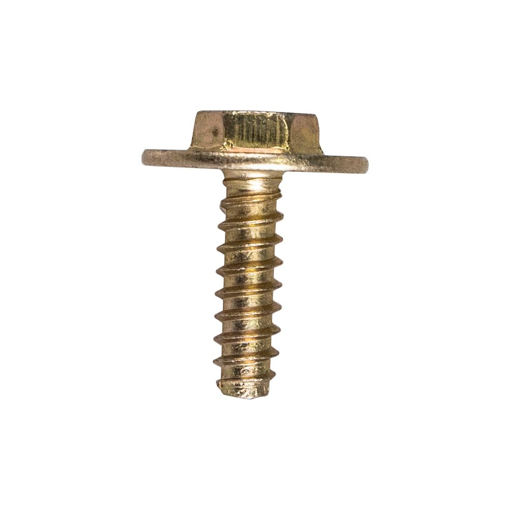 Troy-Bilt 710-04669 Screw