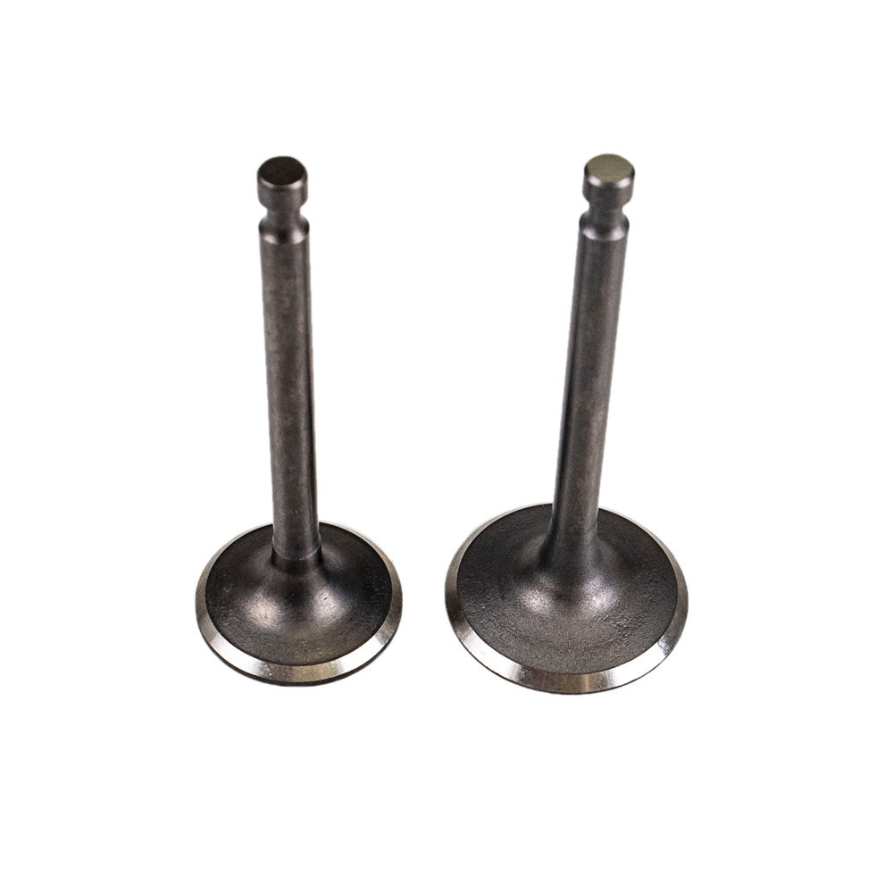 CUB CADET 951-11337 Cylinder Head Valve Kit