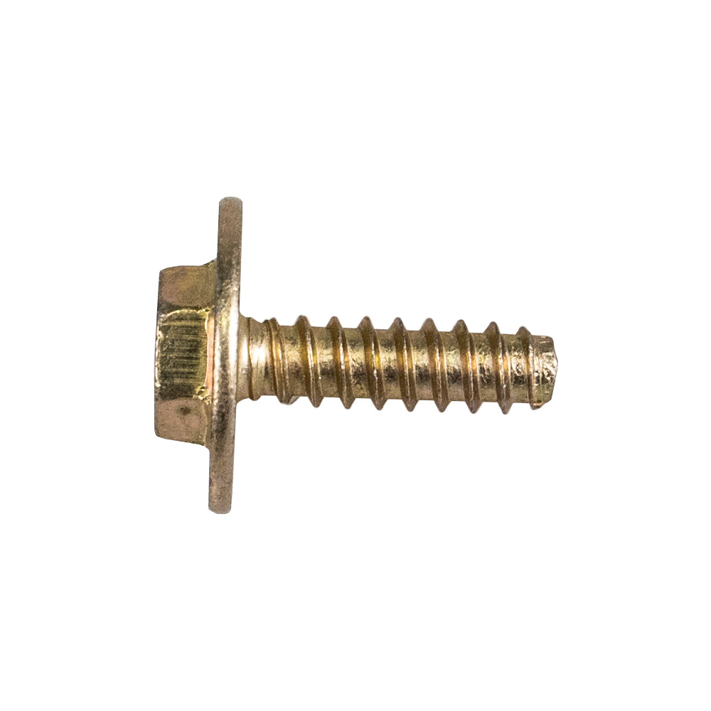 CUB CADET 710-04669 Screw